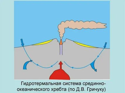 Черные курильщики это гидротермальные источники срединно океанических
