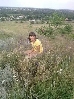Семено камышенская чертковский