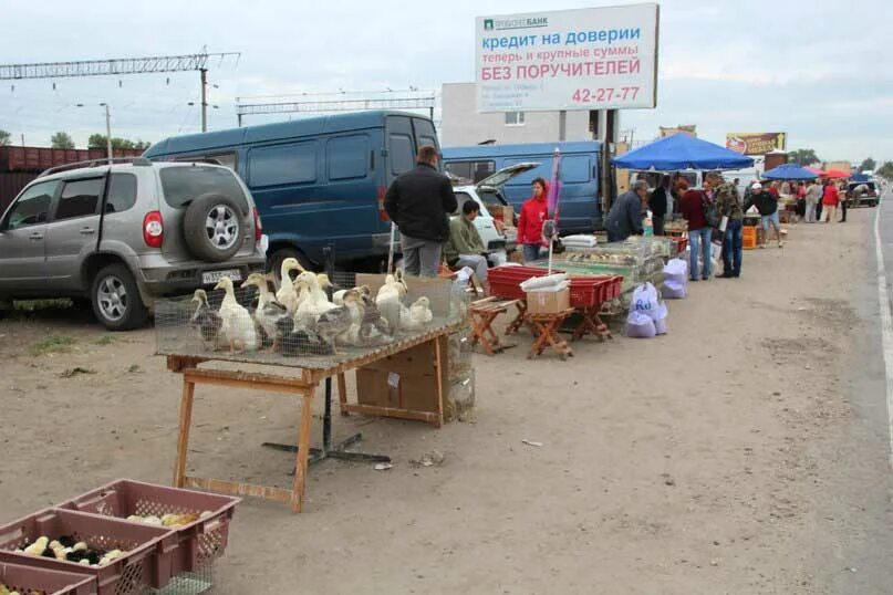 Воронеж птичий рынок где находится сейчас. Птичий рынок казань колхозный рынок. птичий рынок в пятигорске. птичий рынок воронеж.