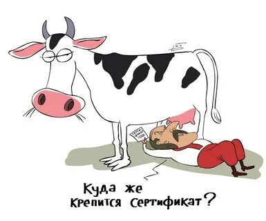 Корова карикатура
