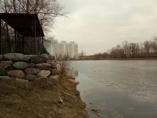 Хим пруд в перово. Пруд на шоссе энтузиастов. Воронцовский парк в москве. Вода новогиреево. Вода новогиреево.