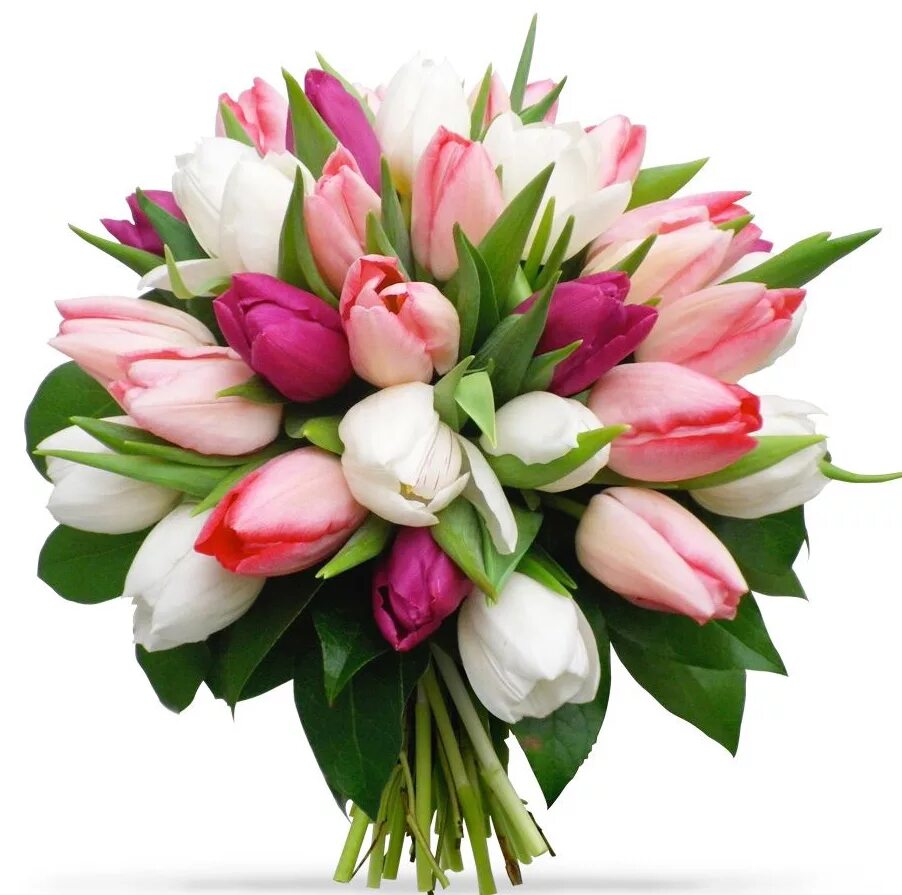 шикарный букет тюльпанов. тюльпаны красивый букет. тюльпановые розы. букетище тюльпанов. букет из тюльпанов.