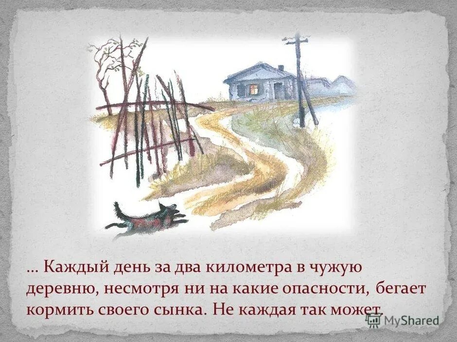 Иллюстрация к рассказу Белова малька.