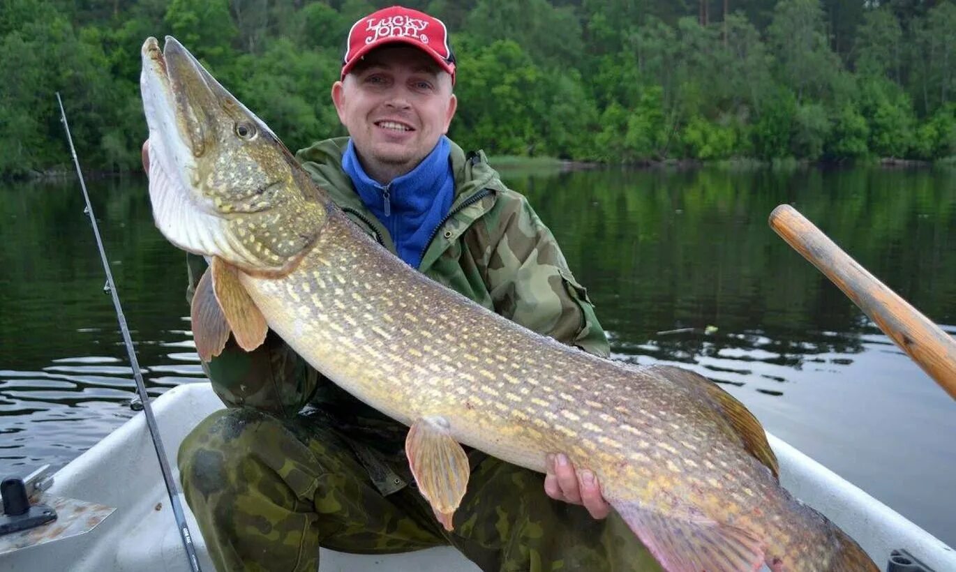 Самая большая щука. Самая крупная щука в мире. Поймал большую щуку. Рыбалка на щуку. Щука на 25кг ангара.
