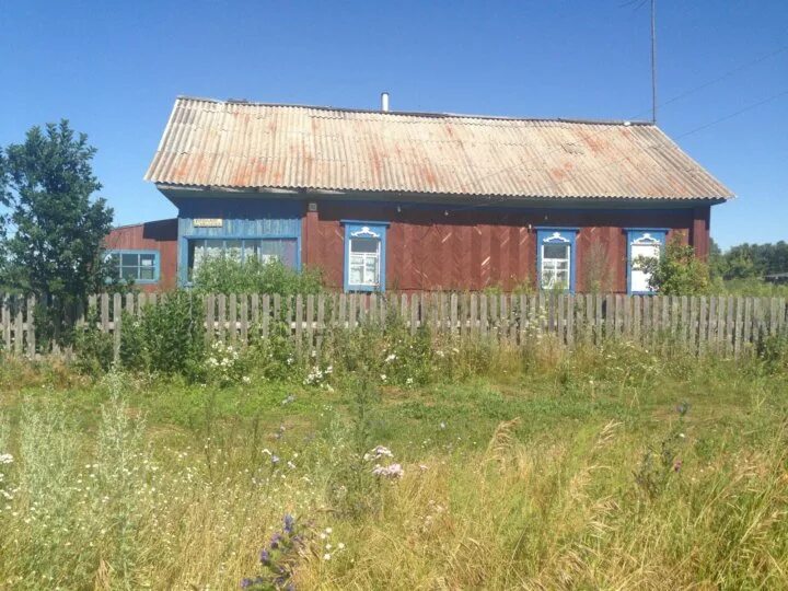 Погода алтайский край новоеловка. Новоеловка Алтайский край Тальменский район. Новоеловка Троицкий район Алтайский край. Село Новоеловка Троицкого района Алтайского края. Село Новоеловка Тальменский район школа.