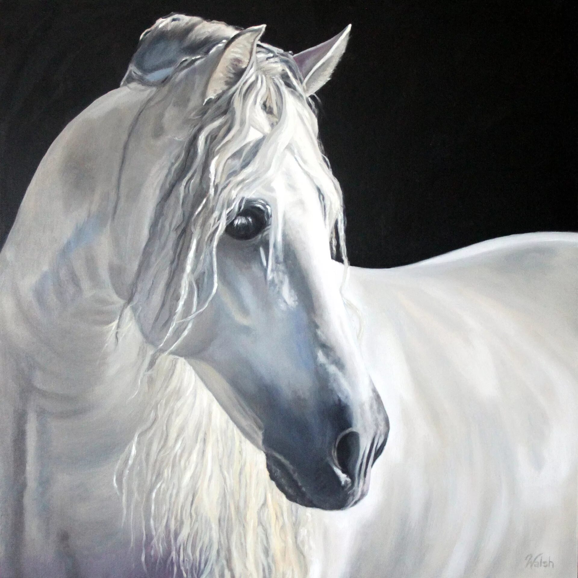«Белый конь», 1898;. Белая лошадь ТОМПСОНОВ. Белая лошадь картина. Морда белой лошади.