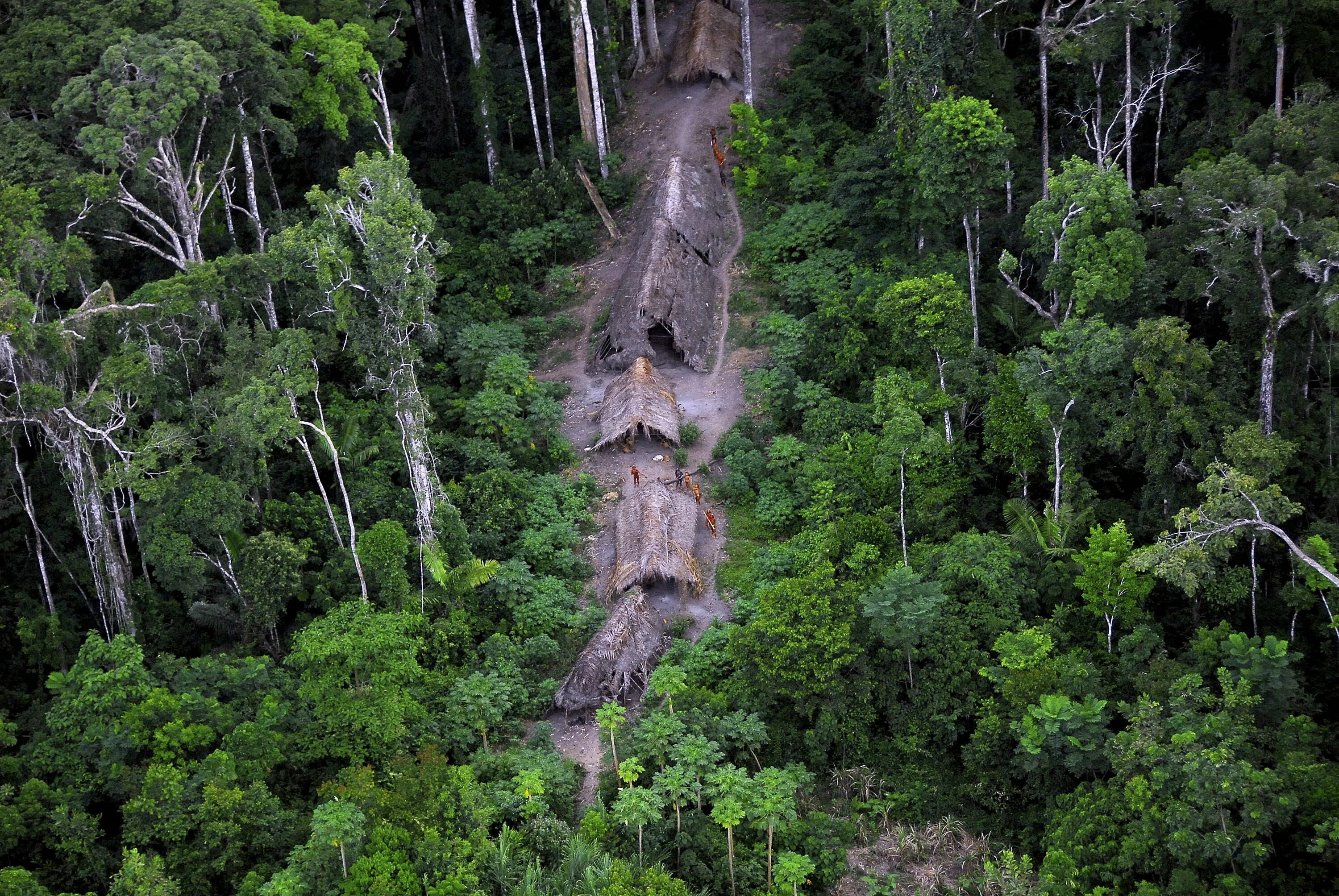 Долина Джавари Бразилия. Бразилия джунгли неконтактные племена. Северный Сентинельский остров. Джунгли Амазонии в Южной Америке.