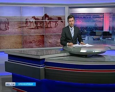 Вести оренбуржья вечерний выпуск