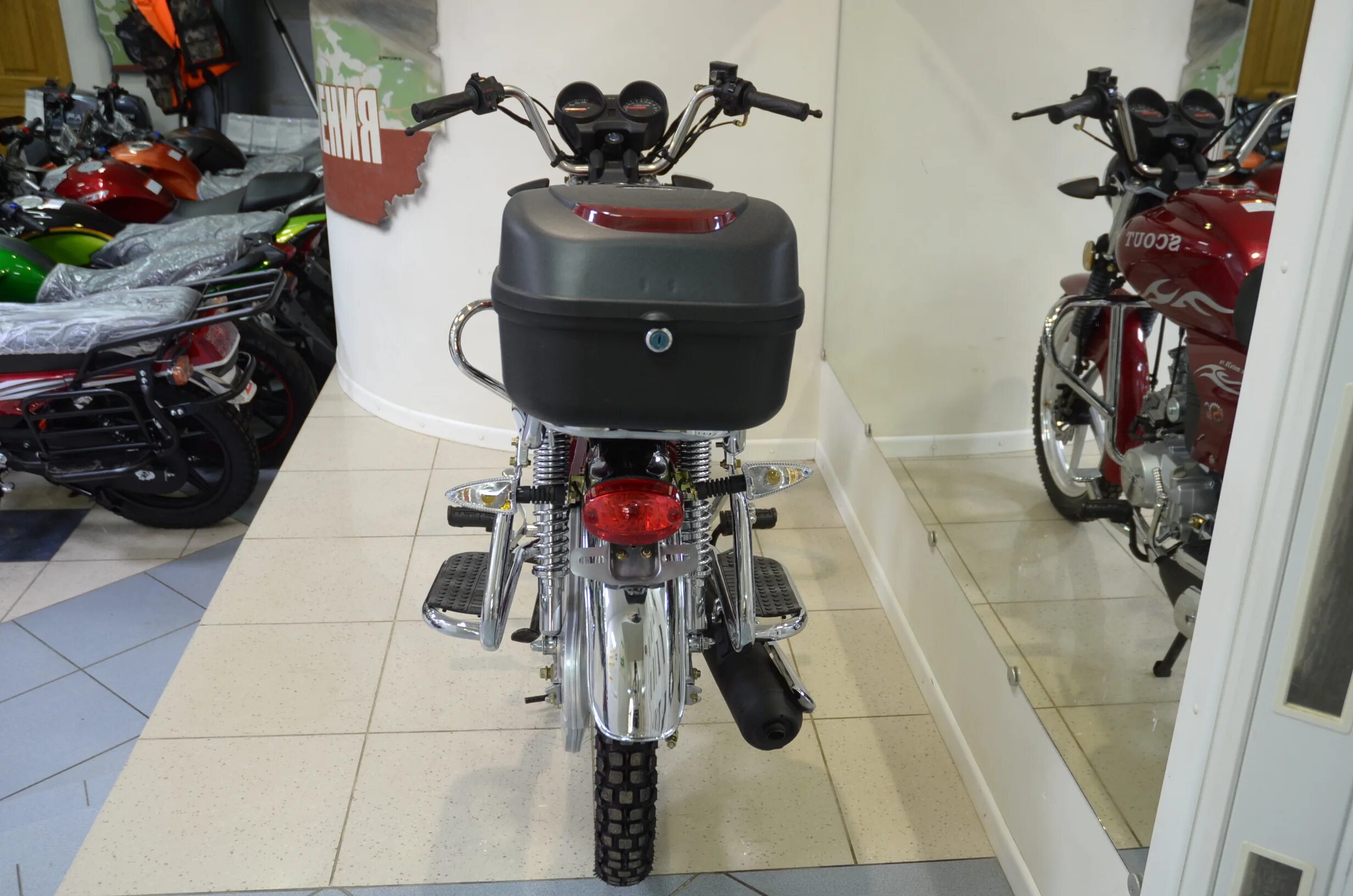 Кофр для мопеда альфа. Альфа скаут 110. мопед 50cc альфа скаут r17. мопед alpha scout 50cc. мопед скаут 110.