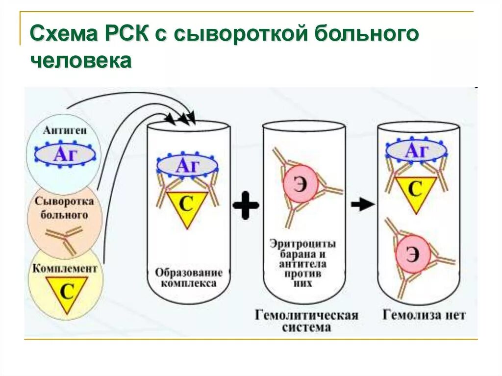 Иммунный гемолиз. Схема постановки реакции связывания комплемента РСК. Реакция связывания комплемента РСК микробиология. РСК реакция связывания комплемента в микробиологической. Реакция связывания комплемента иммунология.