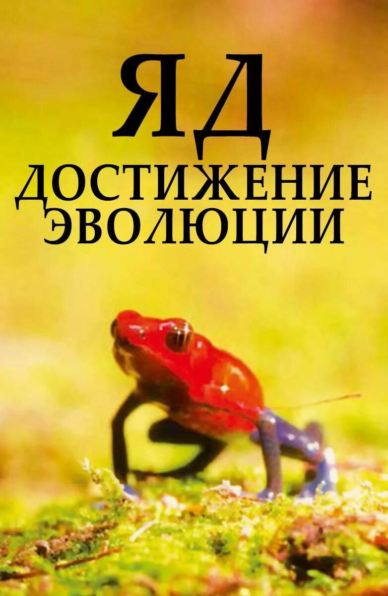 Достижение эволюции. Яд достижение эволюции. эволюции ядовитых животных.