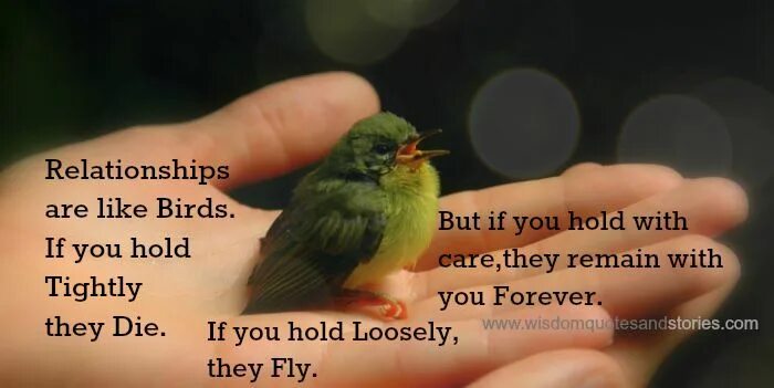 I a bird перевод. Hold tightly. Bird holding something. Coro Love Bird. Like a Bird.