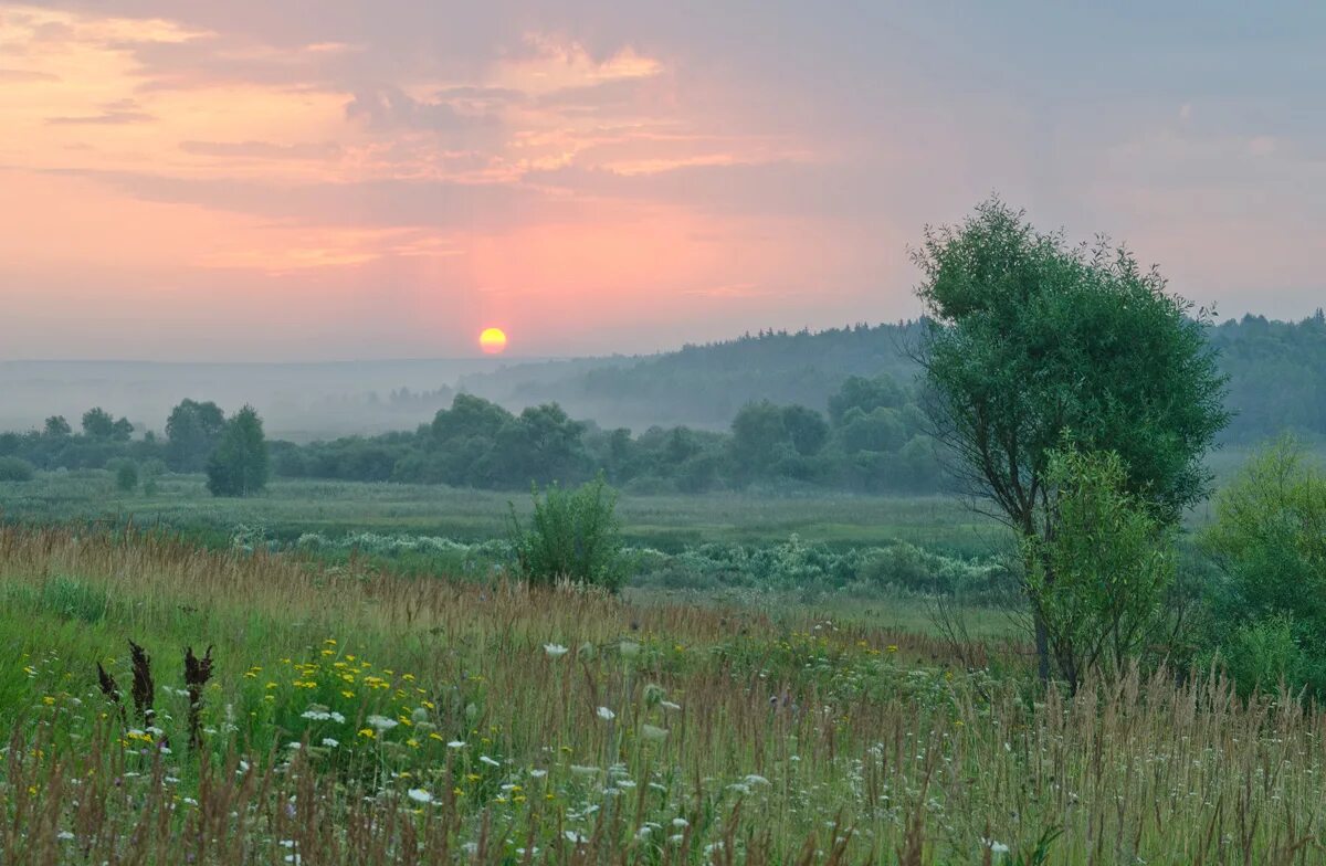 Природа тульского края. Татьянины пруды Епифань. Лето в Тульской области. Природа Алексинского района.