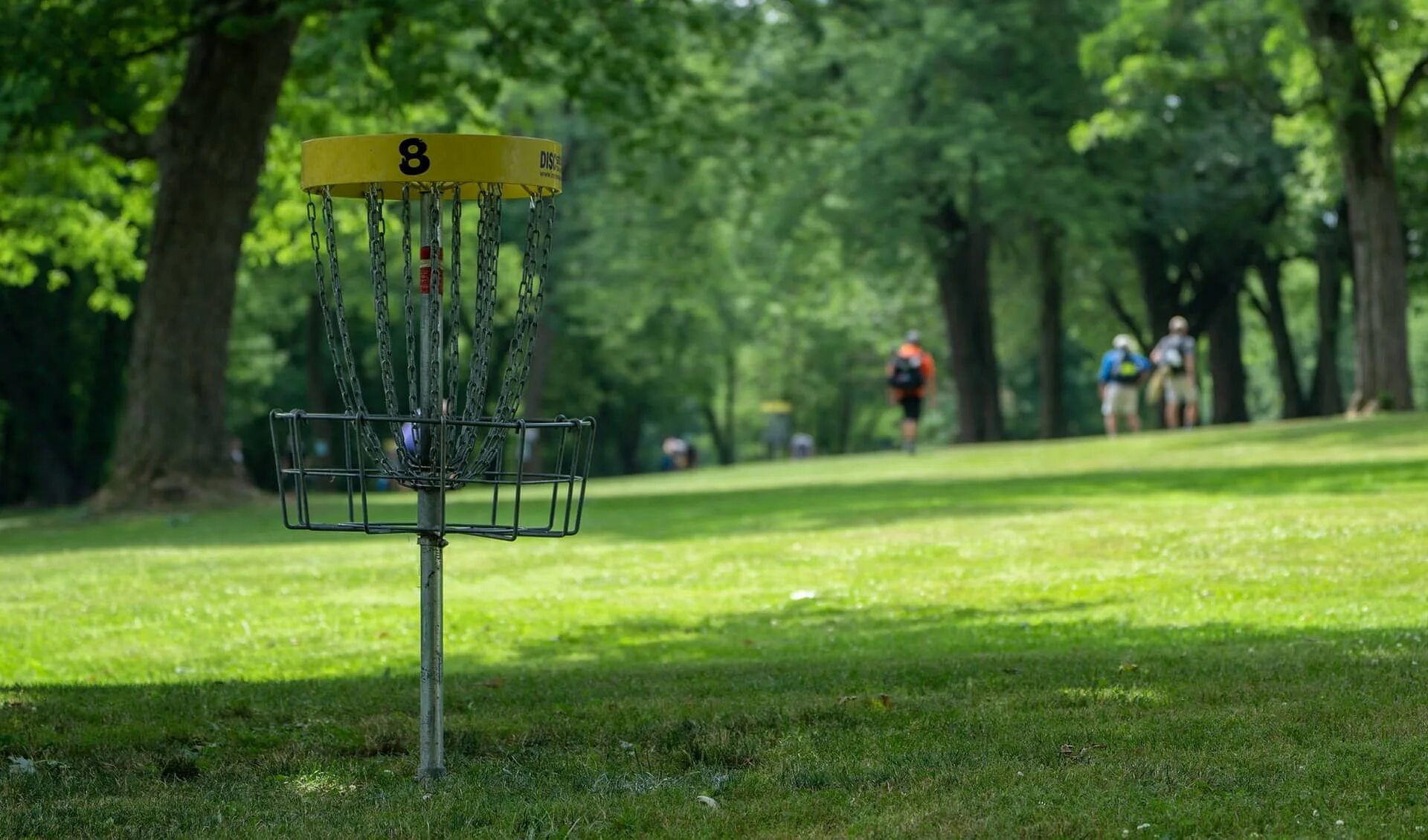 Frisbee golf. Диск гольф игра. Диск гольф. Диск гольф. Диск гольф парк.