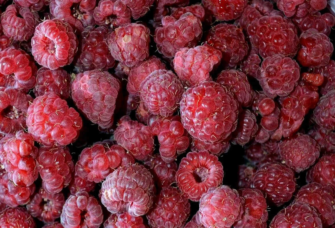 Ягода малина ооо. Ава молонки малинки такие вечеринки. Малинки малинки автор. Малинки малинки автор. Малинки малинки автор.