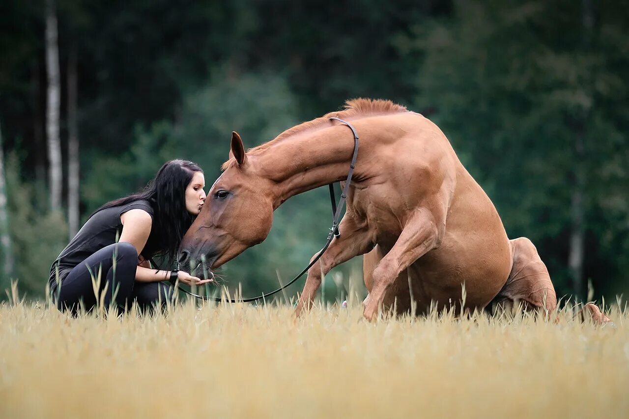 Конь мужик баб. Влюбленные лошади. Женщина на лошади. Человек на лошади. Человек конь.