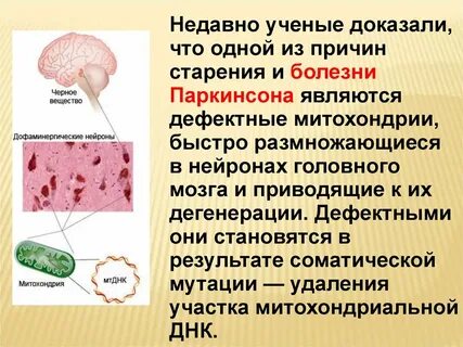 Недавно учеными