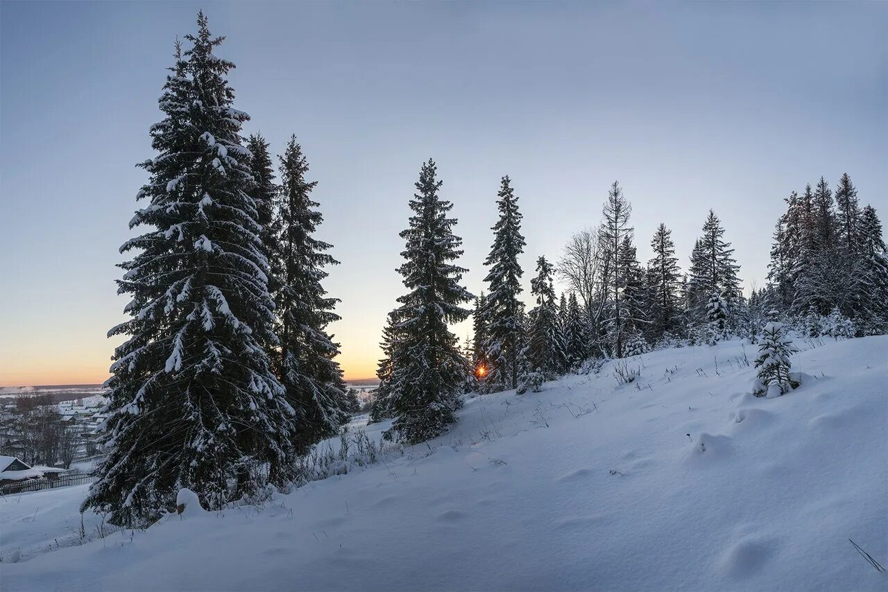 леса великого устюга. город великий устюг дед мороз. великий устюг резиденция деда мороза. лес великий устюг. шиленгский бор.
