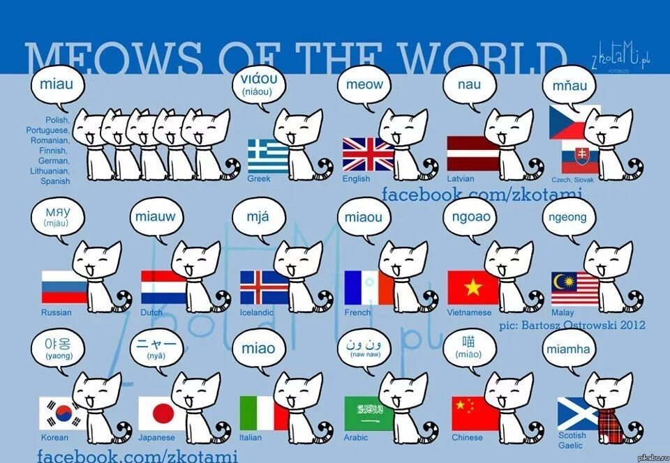 Мяу 17. Как мяукают коты в разных странах. Кошки в разных странах. Мяу в разных странах.