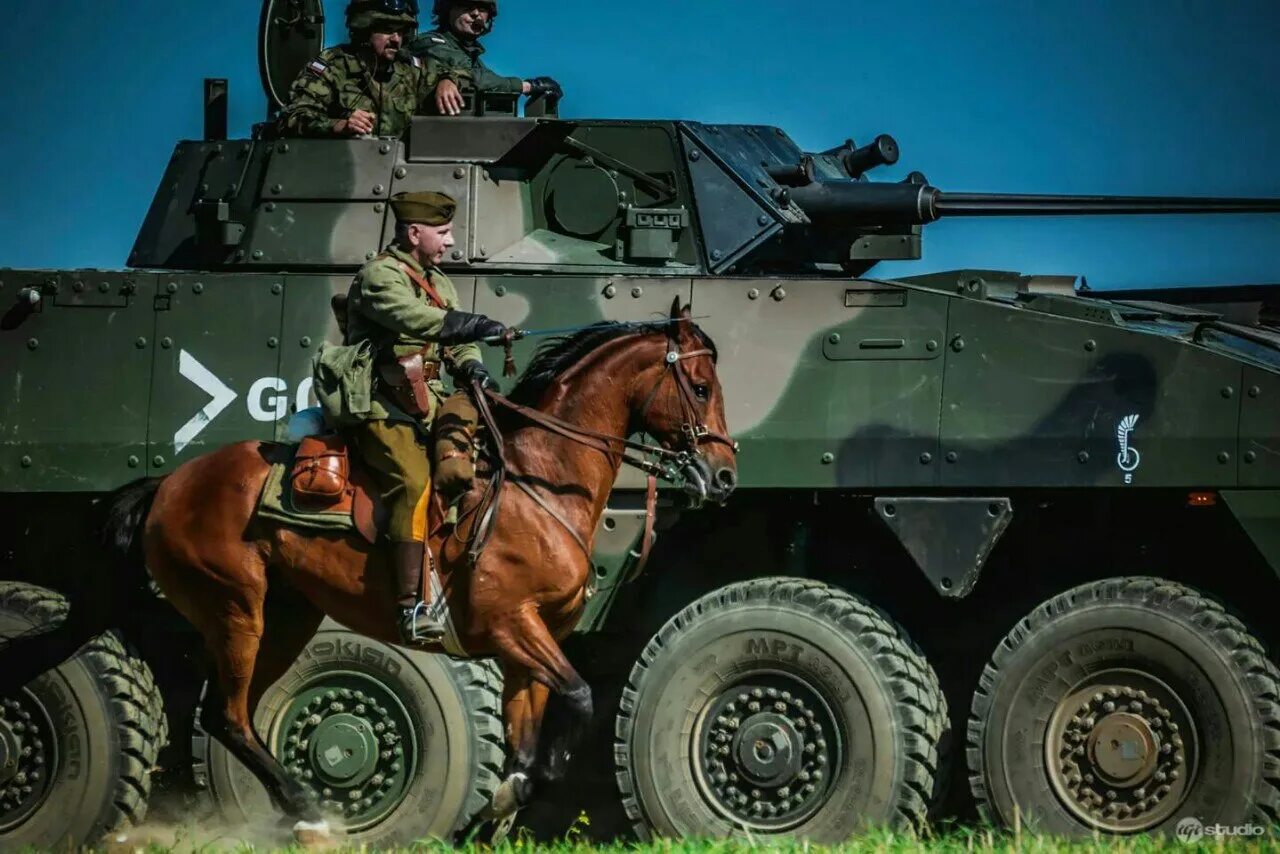 Польские войска. Польские танковые войска. Армия Польши. Войско польское танкисты. Кавалерия против танков