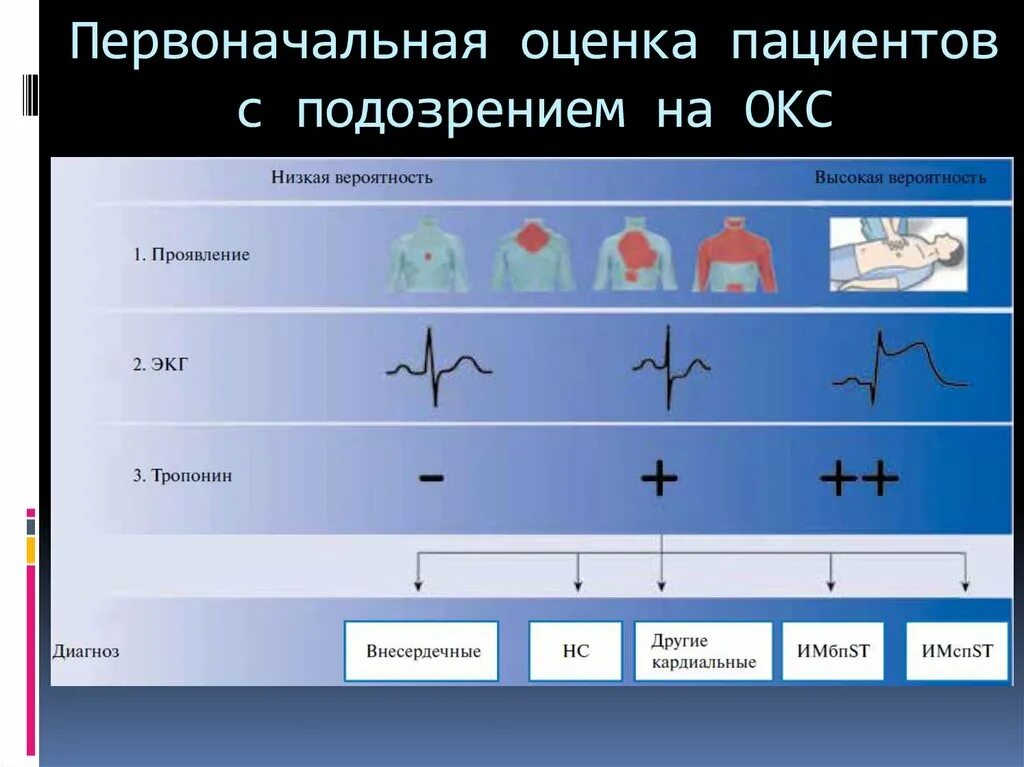 Тесты с ответами острый коронарный синдром. Первоначальная оценка. Первичная оценка пациента с подозрением на Окс. Шкалы для оценки пациентов с острым коронарным синдромом. Окс.