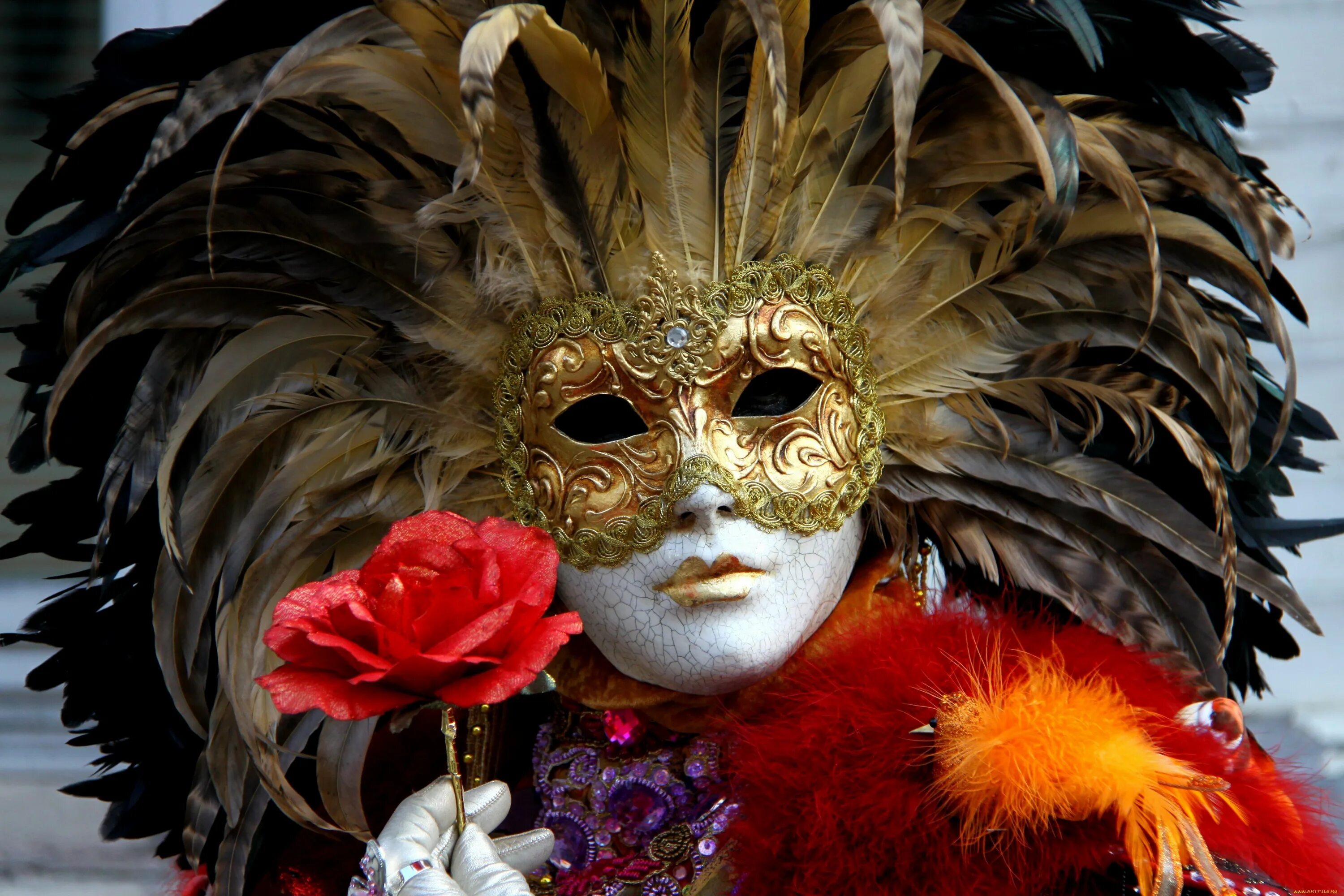 Маска Венеция для карнавала. Венецианский карнавал Коломбина. Венецианскаямаска - «венецианская дама». Маска Венецианского карнавала Коломбина. Карнавальный человек
