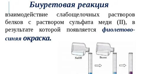 Определение белка биуретовым методом принцип метода