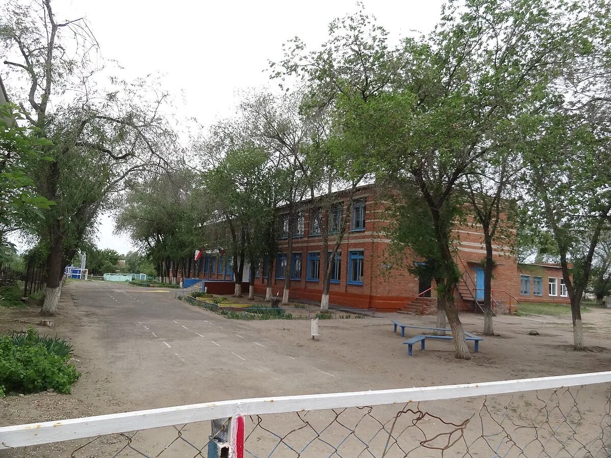 Маркс березовка. Маркс березовка