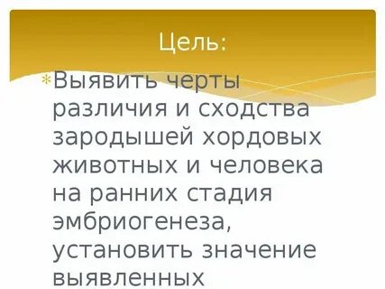 Черты сходства зародышей человека и зародыша свиньи
