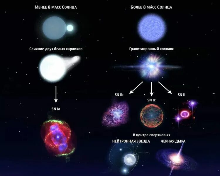 Какое соотношения звезд. Образование сверхновой звезды 1 и 2 типа. Образование сверхновой звезды схема. Эволюция взрыв сверхновой звезды. Сверхновые звезды первого типа.