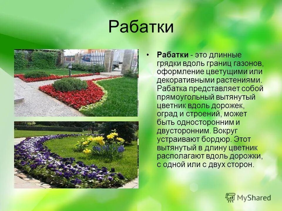 Урок растения города декоративное цветоводство. Проект клумбы. Проект цветника. Рабатка цветник. Проекты цветочных клумб.