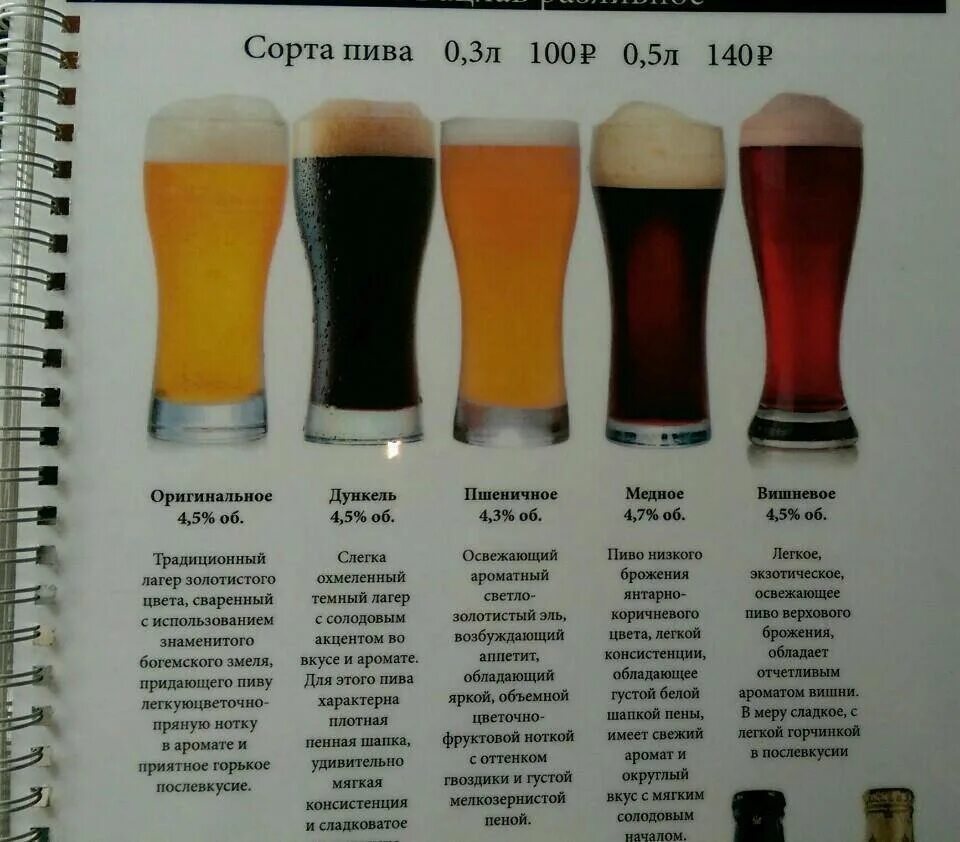 Чем отличается эль от лагера. Чем отличается эль от лагера
