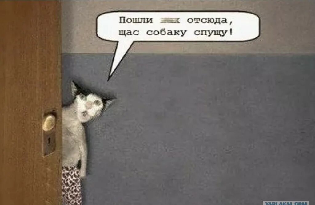 негр продается. имбецил. достали картинки. ну пойдем в комнату. ну пойдем в комнату.