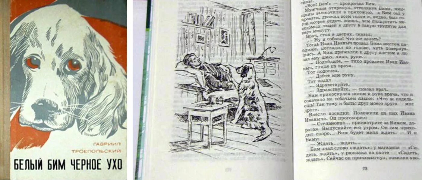 Троепольский белый Бим черное ухо иллюстрации к книге. Иллюстрации к повести белый Бим черное ухо. Белый Бим черное ухо иллюстрации из книги. Рассказ о книге белый Бим черное ухо