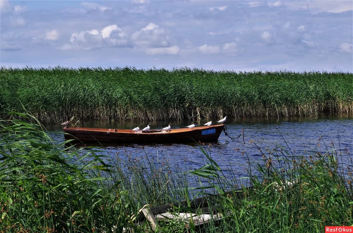 озеро божий глаз беларусь. озеро в браславском районе 5 букв. нацпарк беларуси браславские озёра. озеро в браславском районе 5 букв. озеро оболе браславский район.