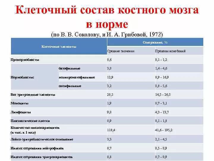 Исследование костного мозга норма. Расшифровка исследования костного мозга. Расшифровка исследования пункции костного мозга. Пункция костного мозга расшифровка анализа.