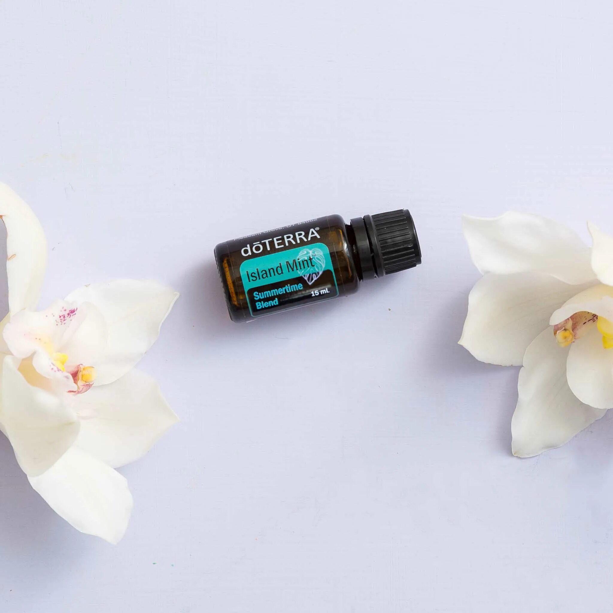 Диффузор bubble doterra. Дотерра island mint. эфирное масло розы дотерра. садовая мята дотерра. doterra эфирные масла магнолия.