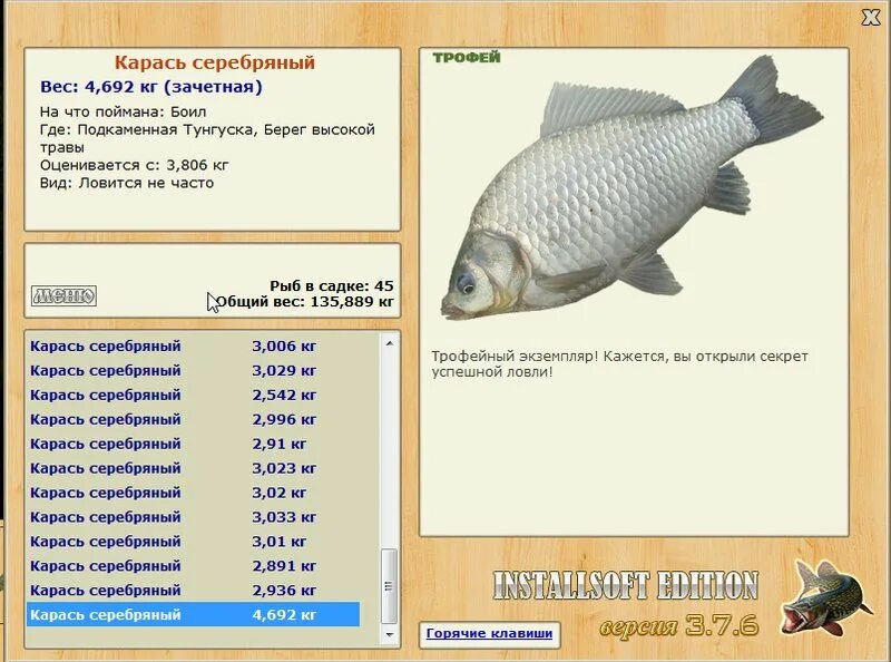 Какой вес карася. Серебряный карась. Карась Размеры. Разрешённых размер карася. Русская рыбалка 4 карась серебряный.