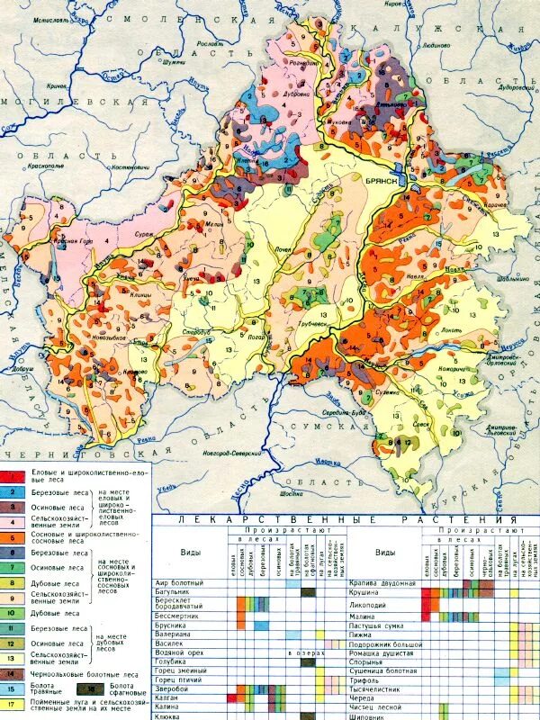 Какая природная зона в брянской области. Карта растительности Брянской области. Карта почв Брянской области. Почвы Брянска и Брянской области.