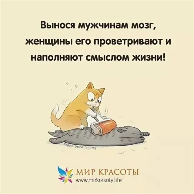 Выносим парню мозги