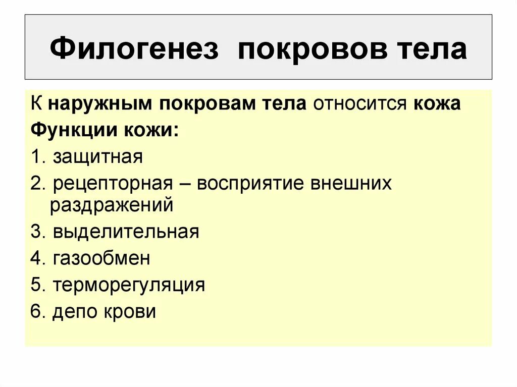 Функции филогенез. Филогенез покровов. филогенез покровов тела животных. филогенез наружных покровов. филогенез наружных покровов хордовых.