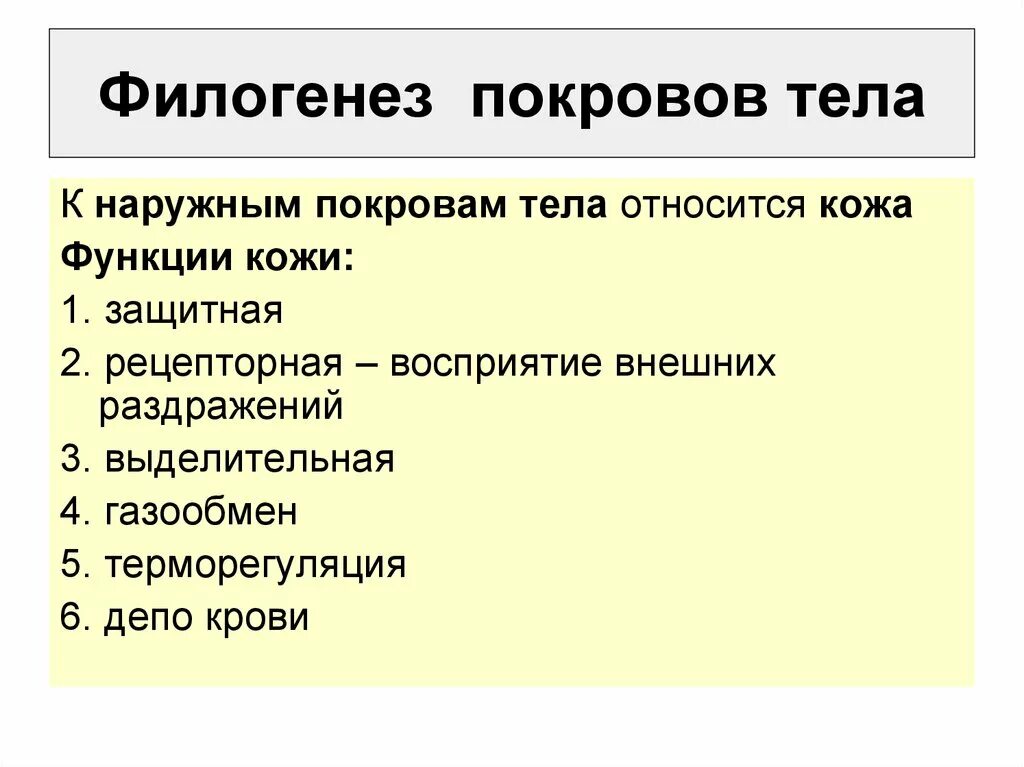 Филогенез покровов. Филогенез покровов тела животных. Филогенез наружных покровов. Филогенез наружных покровов хордовых.