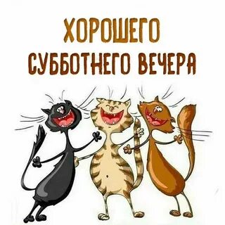 Картинка пожалуйста смешная