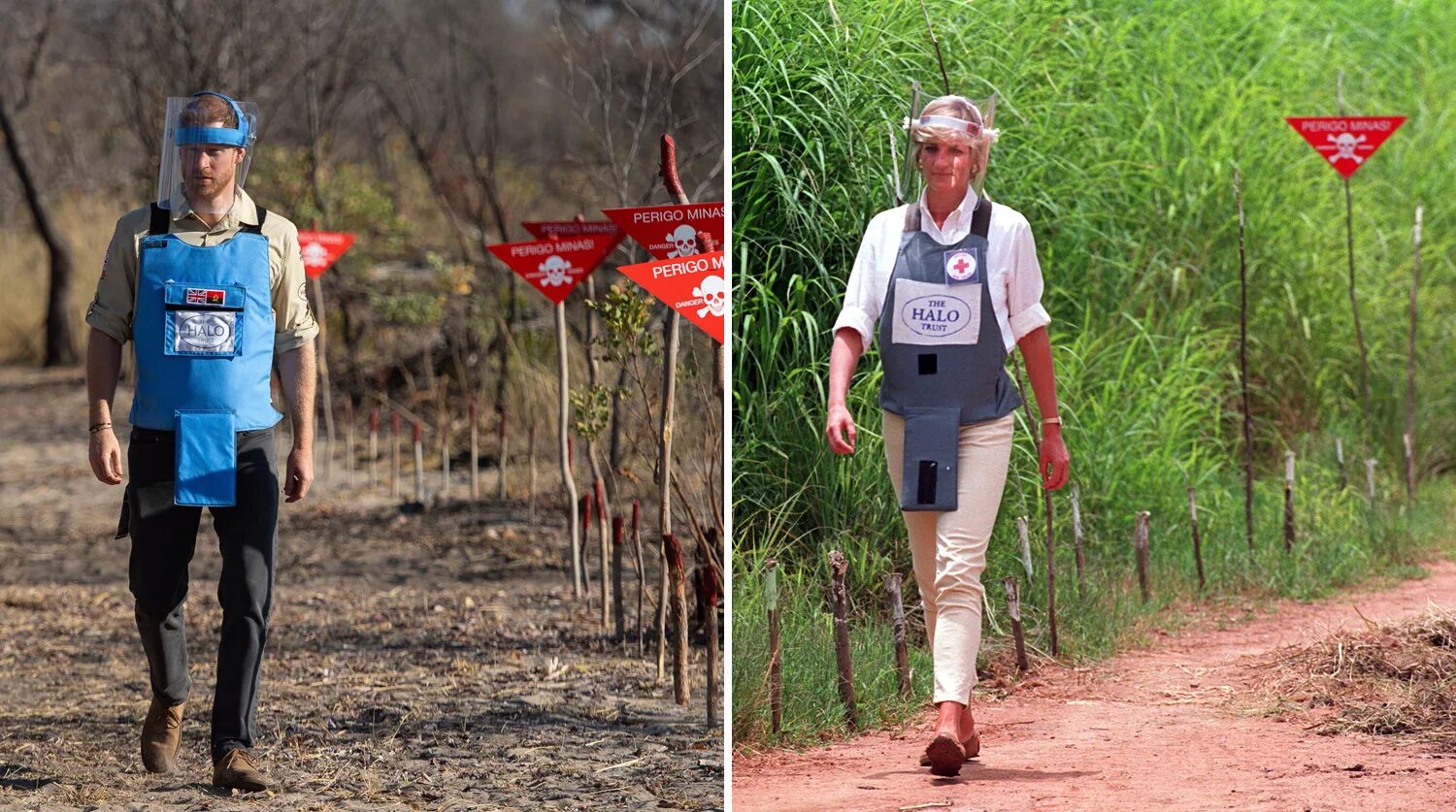 идет по минному полю. много мышеловок. ходить по минному полю. ходьба по минному полю. ходьба по минному полю.