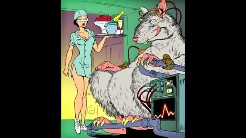 Мышиный рай 25. Мышиный рай вселенная 25. Эксперимент над мышами вселенная 25. Мышином рае. Мышином рае.