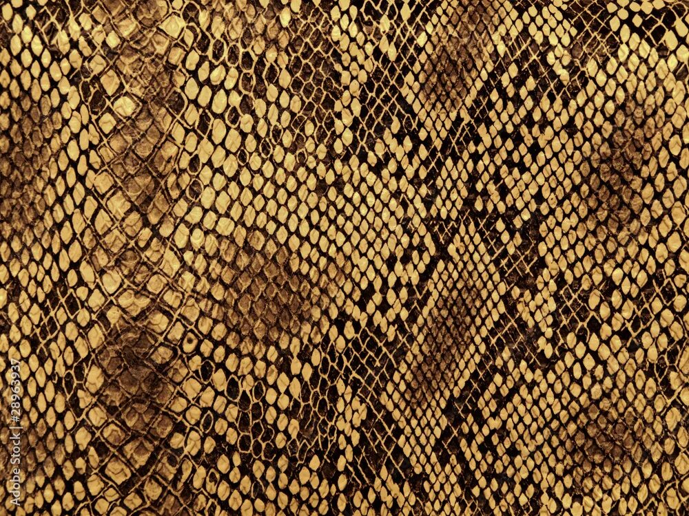 Snake pattern