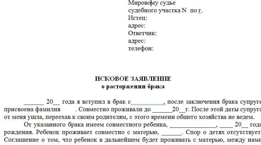 Подача заявления о расторжении брака в суд. Заявление на развод с несовершеннолетними детьми. Заявление на развод документы с ребенком. Подача на развод при наличии несовершеннолетних детей. Документы в суд для развода с детьми.