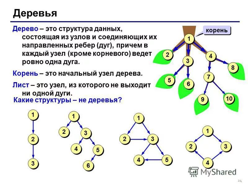 Ребенку в данной структуре им. Структура сетевой модели данных. Древовидная структура данных. Ребенку в данной структуре им. Динамические структуры данных примеры.