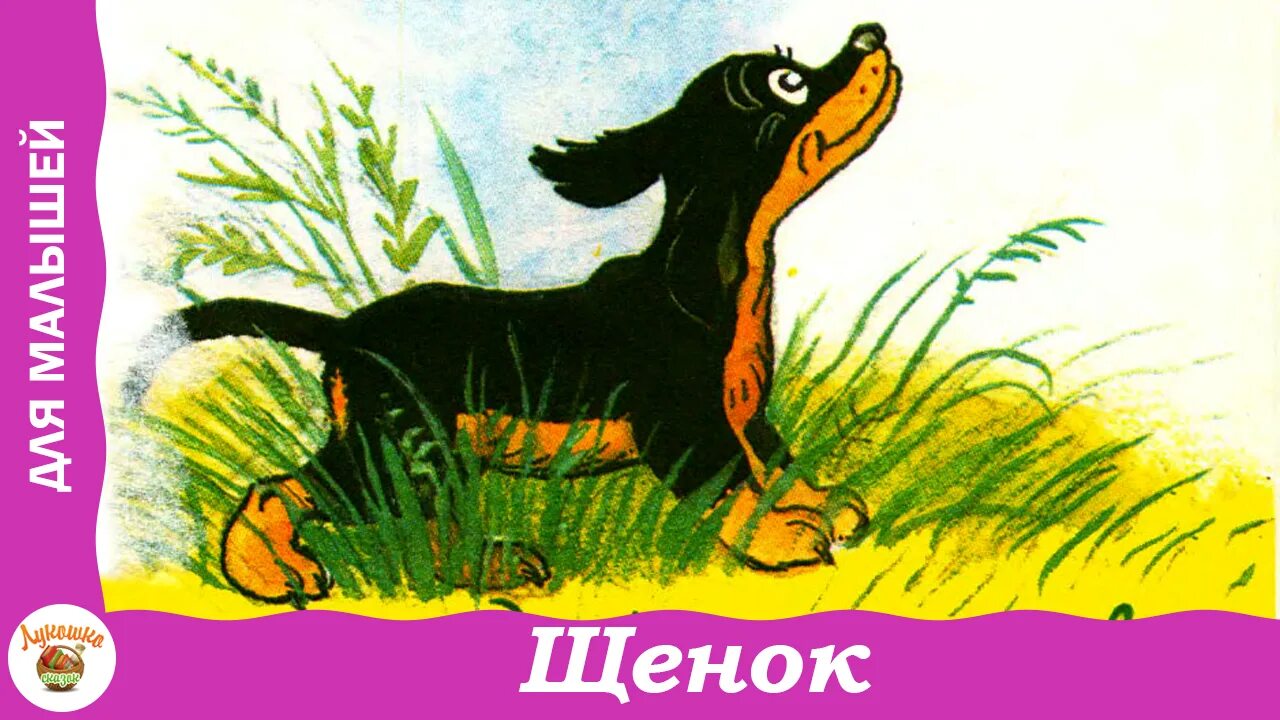 Стихотворение мой щенок. Стихотворение щенок сергей михалков. михалков с. щенок , 1991. сказка щенок и дверь. щенок михалков слушать.
