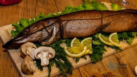 Горячее копчение рыбы щуки